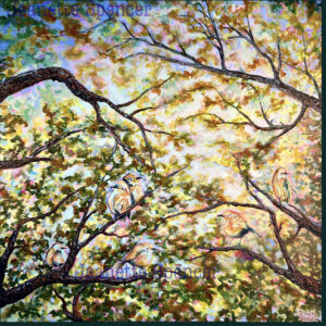 $800.00 Spring Fling 36" sq