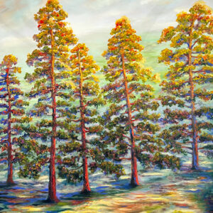 $850. Sundown on the Tree tops